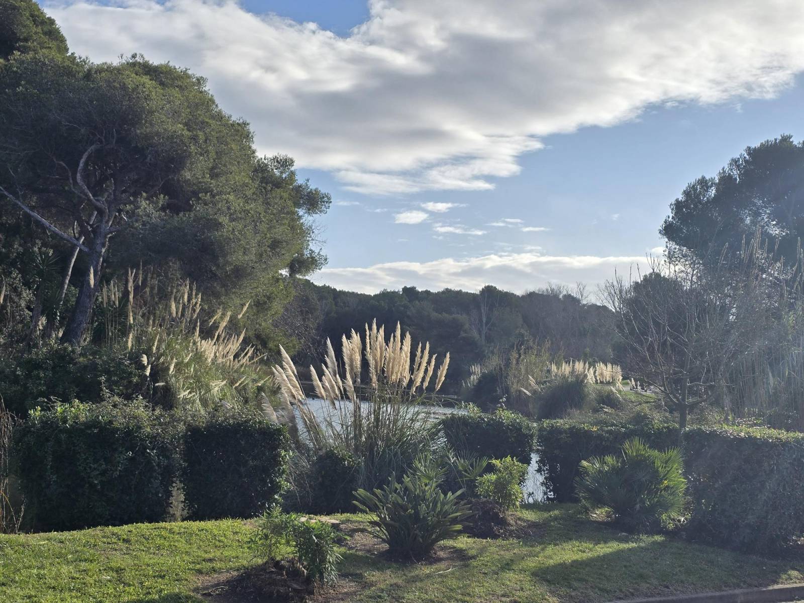 appartement  louer à six fours les plages