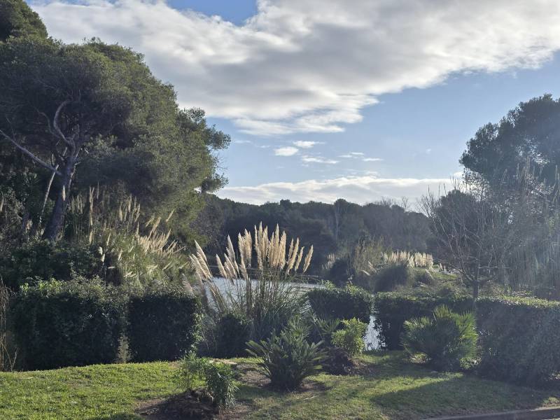appartement  louer à six fours les plages