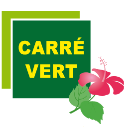 Création de jardins sur mesure méditerranéens et élagage Hyères proche de Toulon Carré Vert Service