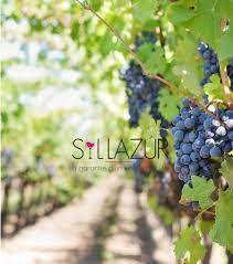 Cave à vin coopérative