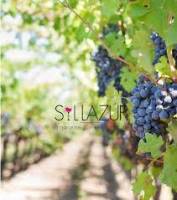 Cave à vin coopérative